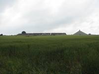 IMG_2375 