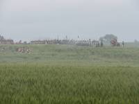 IMG_2452